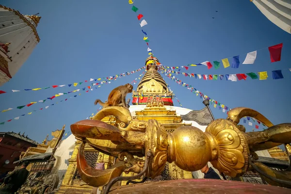 Singe Vajra Swayambahunath Stupa Katmandou Népal Site Classé Patrimoine Mondial — Photo