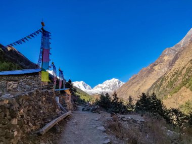 Himalayalar ve dua bayrakları. Trekking iz Manaslu koruma alanında Nepal. sarı ağaçlar