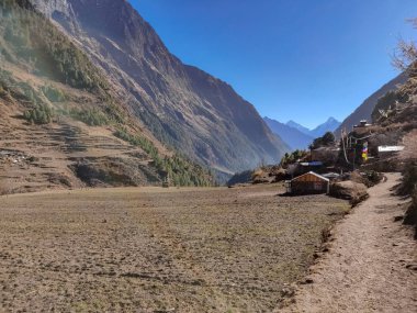 Tepeler, ağaç, çam ormanları ve uzak alan Nepal Himalayalar. Manaslu koruma alanı