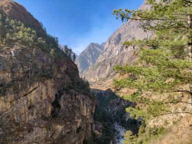 Dağ ve nehir ortasında. Doğal peyzaj