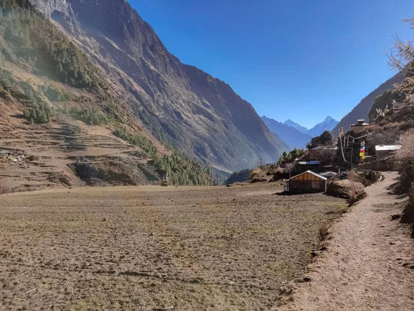 Tepeler, ağaç, çam ormanları ve uzak alan Nepal Himalayalar. Manaslu koruma alanı
