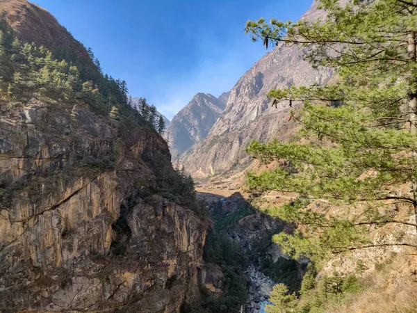 Dağ ve nehir ortasında. Doğal peyzaj