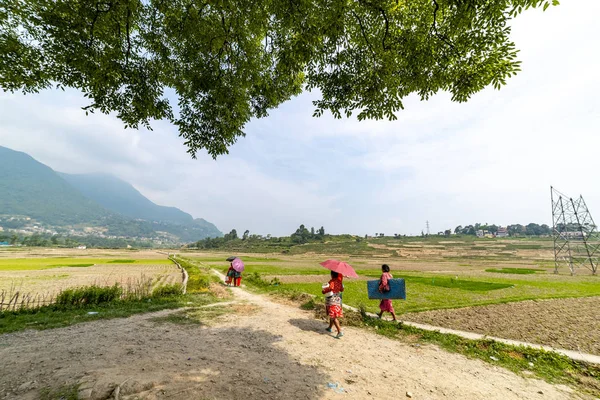 Kathmandu Nepal June 2019 Nepali Farmers Heading Field — Stock Photo, Image