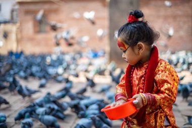 Little girl dressed as Kumari God feeding the pigeons at Kathmandu Durbar Square during Indra Jatra Festival clipart