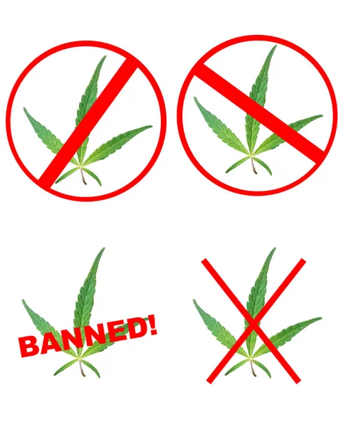 マリファナなし 大麻なし 白い背景に隔離された薬物なしのサイン — ストック写真