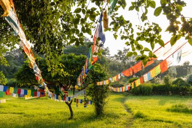 Lumbini, Nepal 'deki bahçede bayraklar asılı