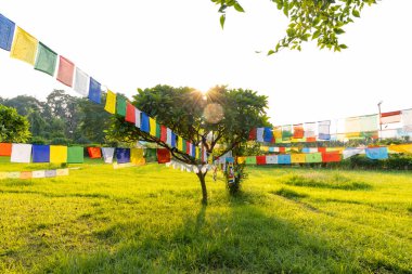 Lumbini, Nepal 'deki bahçede bayraklar asılı