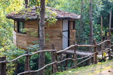 Ormanın ortasında kır evi tarzı bir ağaç ev.