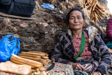 Orta yaşlı Asyalı bir kadın Himalaya altın köpeği çiğniyor.