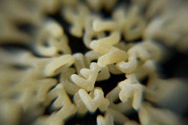 Letras de sopa desenfocadas blanco