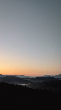 Sis ve ormanla görkemli dağ gündoğumu