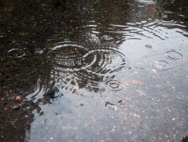 Sonbahar yağmurunda yağmur damlaları bir su birikintisine düşer.