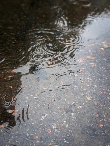 Sonbahar yağmuru sırasında su birikintisine düşen yağmur damlaları dikey görünüm