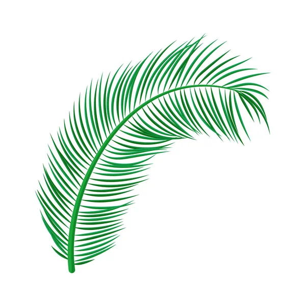 Hoja plana de palma de coco — Vector de stock