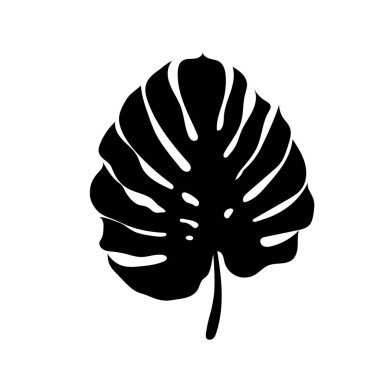 Canavar palmiye yaprağı. Beyaz arka planda izole edilmiş tropik siyah siluet bitkisi. Düz biçim botanik vektör çizimi.