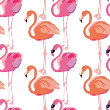 pembe flamingo kuşları ile sorunsuz vektör desen