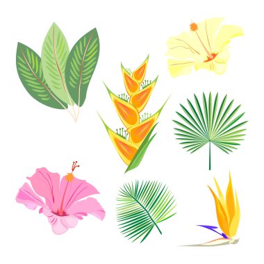 egzotik tropik çiçekler ve beyaz arka plan üzerinde izole yaprakları