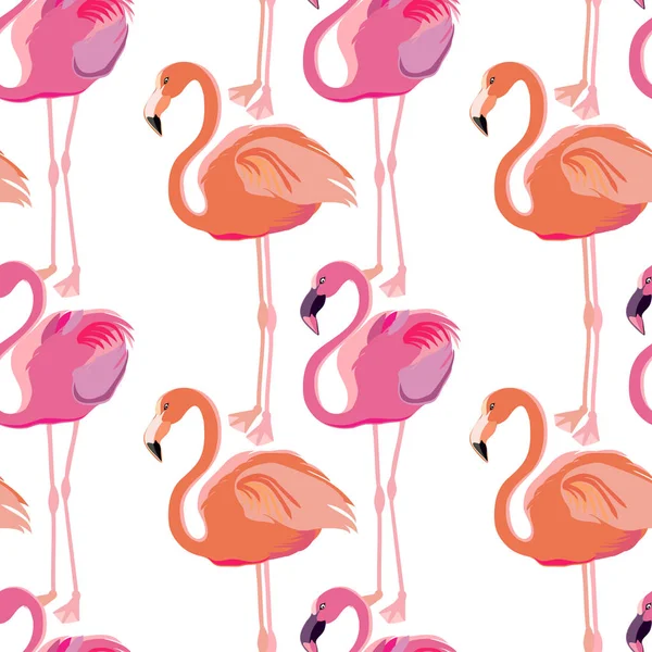 Wektor Wzór Pink Flamingo Ptaków — Wektor stockowy