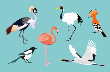 çeşitli kuşlar üzerinde mavi arka plan ayarlamak çizimler vektör