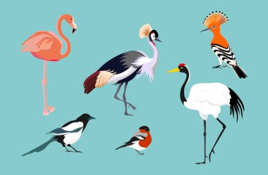 çeşitli kuşlar üzerinde mavi arka plan ayarlamak çizimler vektör