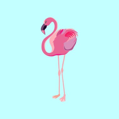 pembe flamingo kuş vektör çizim mavi zemin üzerine