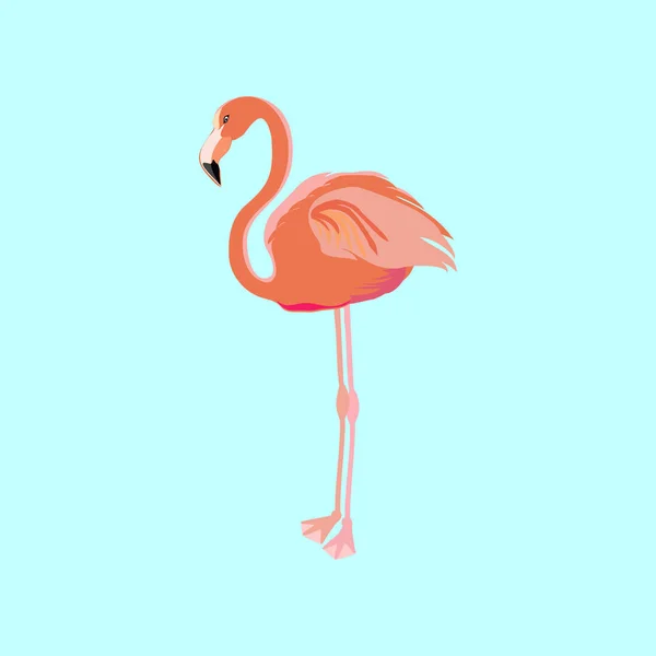 Ilustracja Wektorowa Nowoczesne Flamingo Ptak Niebieskim Tle — Wektor stockowy