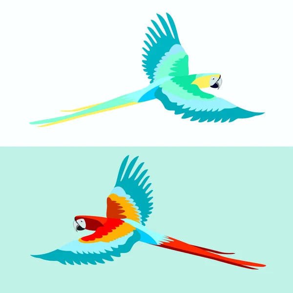 Various Parrots Vector Illustrations Set — Stock Vector