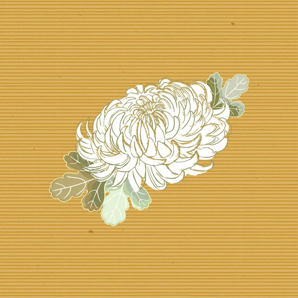 Seamless Vector Pattern White Chrysanthemum Flower — Stock Vector