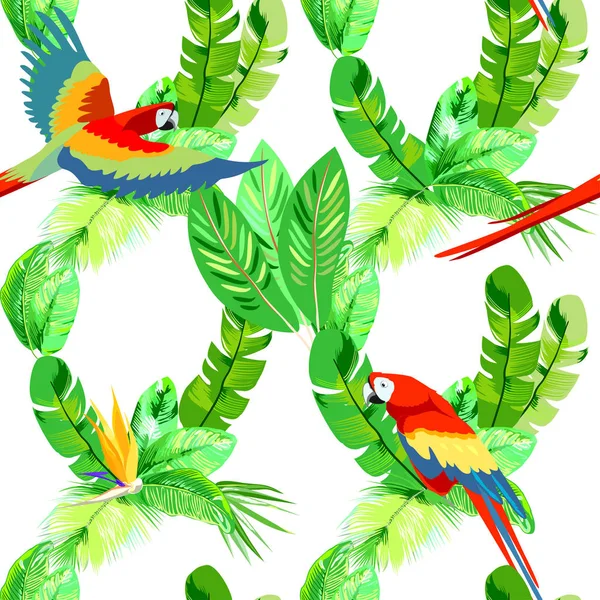 Wektor Wzór Papug Tropikalny Tło — Wektor stockowy