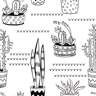 succulents tencere ile sorunsuz vektör arka plan
