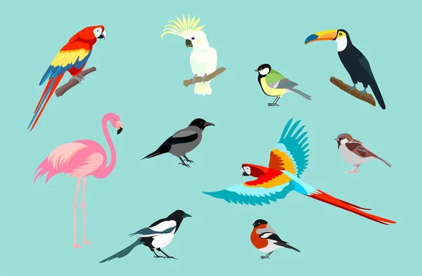 vector illustrations set of various birds