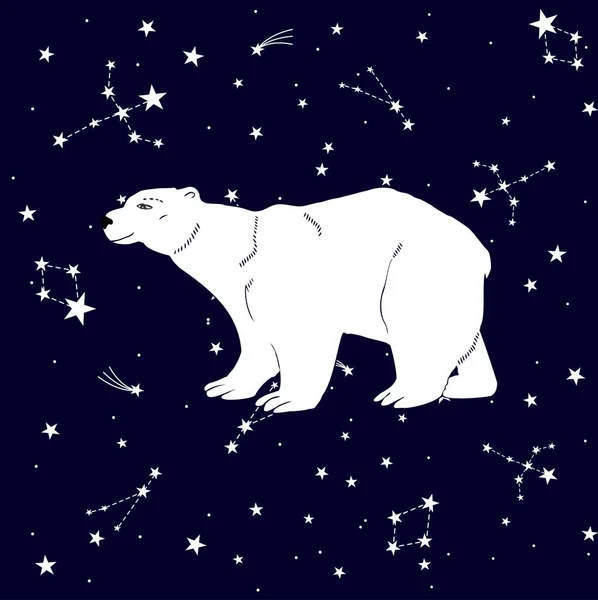 白色的熊与星星和 Cometes 在深蓝色的天空 — 图库矢量图片