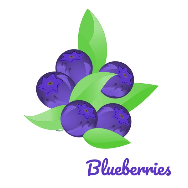 Isolated illustration of blueberries on white background, text Blueberies. Vector illustration for your design. — Stock Vector