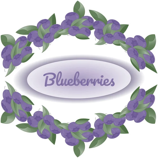 Wreath of bushes of blueberries on white background, in the center text Blueberryies. Vector illustration for design of packaging, stikers, flyers, postcards, posters. — Stock Vector