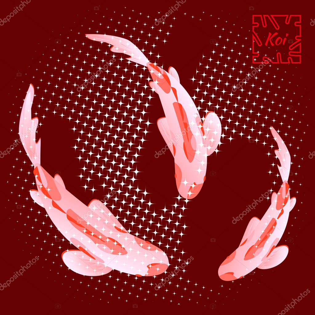 Set with fish, carp koi against background of bright burgundy color. Vector illustration, Cyprinus Carpio.