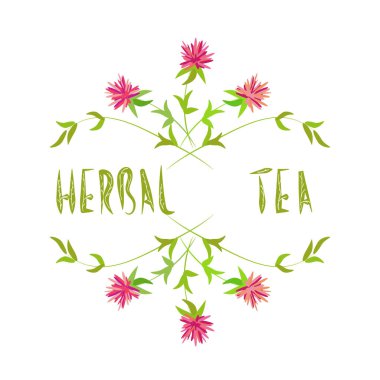 Bitkiler ve çiçekler ve yazı bitkisel çay aranjman. El çizimi yumuşak pastel renklerle. Ambalaj, kağıt, tasarım, Etiketler için.