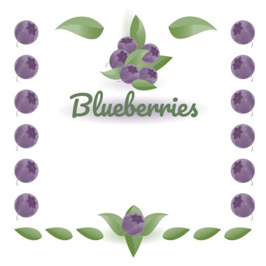 Yabanmersini ve yapraklar, doğal renkler. Etiketli vektör çizimi, çiftlik tabelası tasarımı, logo. Beyaz arkaplanda izole nesneler.
