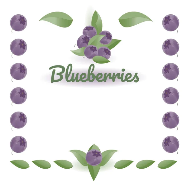 Blueberries Leaves Natural Colors Vector Drawing Text Label Farm Signboard — Stock Vector