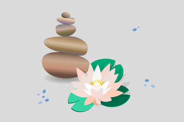 Zen Steinwaage Zarte Weiße Lotusblume Seerose Bild Von Steinen Blumen — Stockvektor