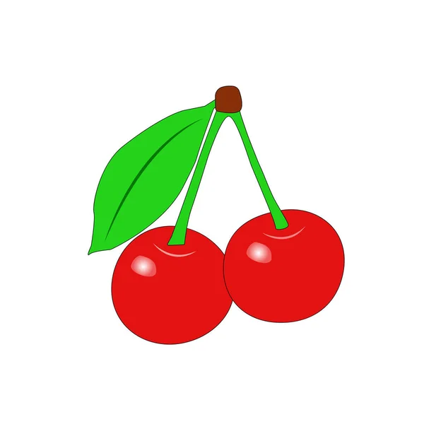 Cherry - Illustration. — Stock Vector