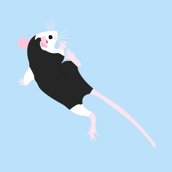 Pet Rat. Un ratto decorativo. Topo domestico. Che bel topo. carino animale domestico — Vettoriale Stock