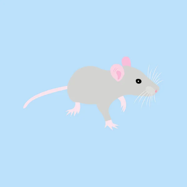 Pet Rat. Un ratto decorativo. Topo domestico. Che bel topo. carino animale domestico — Vettoriale Stock