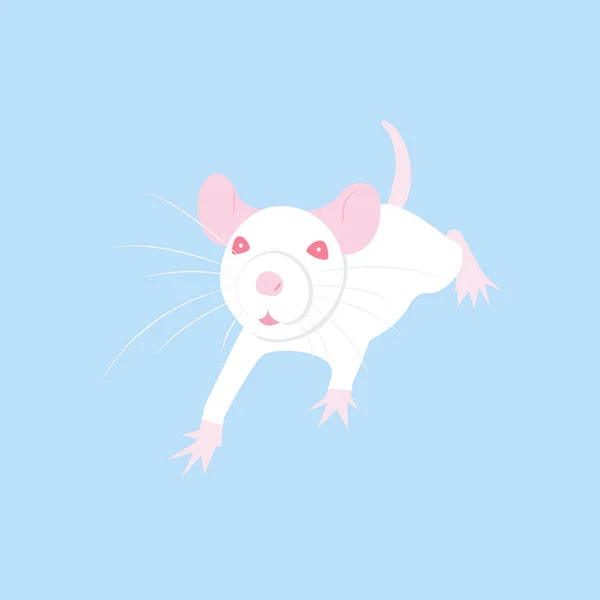 Pet Rat. Un ratto decorativo. Topo domestico. Che bel topo. carino animale domestico — Vettoriale Stock