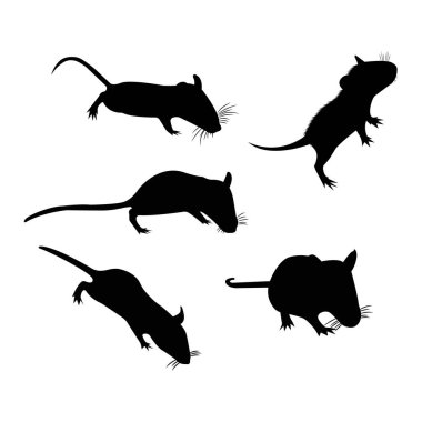 Siluet. Evcil Fare. Dekoratif sıçan. Evcil fare. sevimli Rat. Kesme