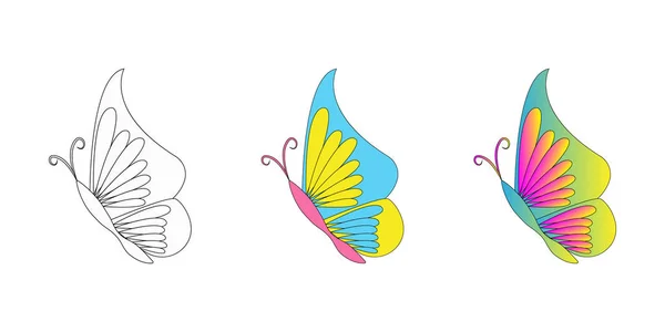 美しい蝶々ベクトルを設定します。白いバクで隔離された蝶 — ストックベクタ