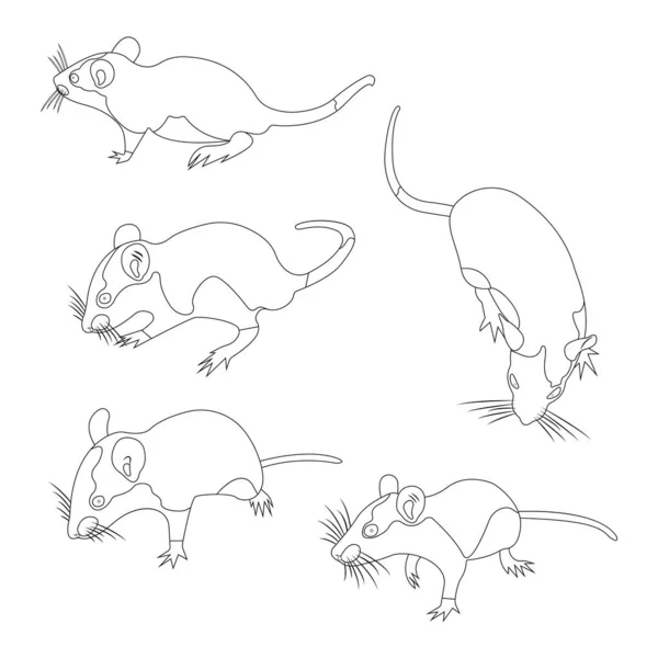 색칠. 애완 동물 쥐. 장식 쥐. 국내 쥐. 귀여운 쥐. 귀여운 — 스톡 벡터