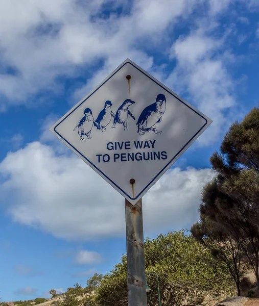 Schild soll Platz für Pinguine machen — Stockfoto