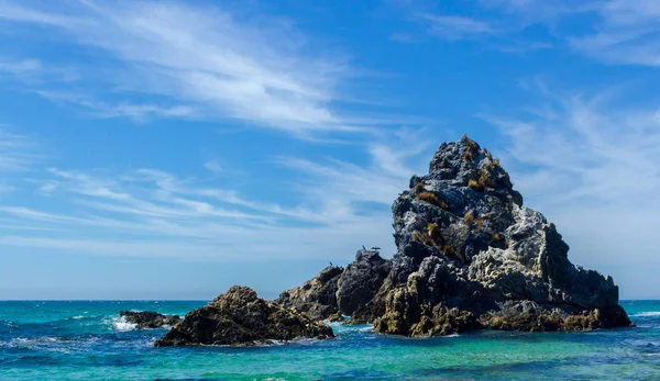 Pássaros sentados em Camel Rock perto de Bermagui na NSW Austrália — Fotografia de Stock