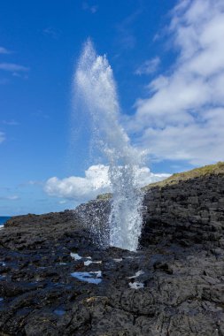 Su çeşmejervis Bay, Avustralya ile karamsar bir bahar gününde Jervis Körfezi yakınlarındaki Kiama pitoresk köyünde Küçük blowhole
