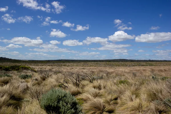 Flache Graslandlandschaft mit weißen Wolken, tolle Meeresstraße, Australien — Stockfoto